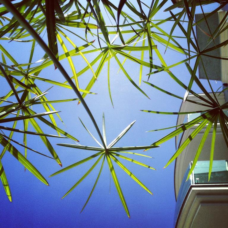 Residenza Villa Flores เบลลาเรีย-อีเจอา มารีนา ภายนอก รูปภาพ
